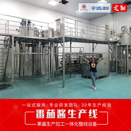 广州南洋食品机械 专业提供高品质果酱整套生产线设备